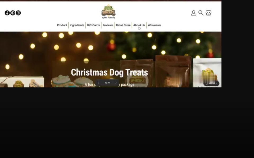 Ecommerce Website project